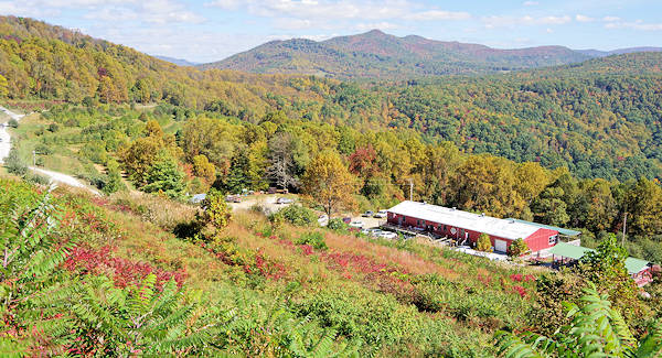 Orchard at Altapass