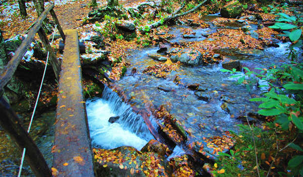Alum Cave Trail, Great Smoky Mountains