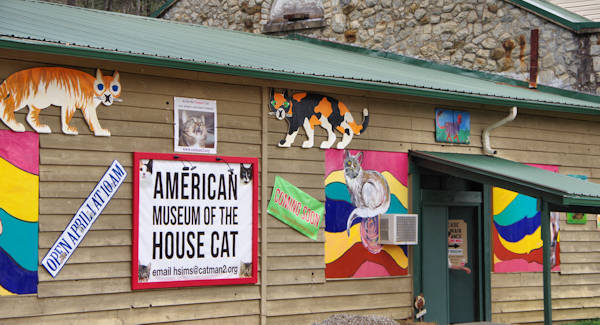 American Museum of the House Cat