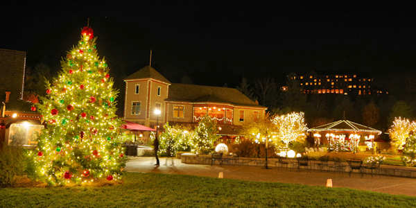 Antler Hill Village, Biltmore