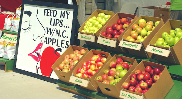 NC Apple Festival