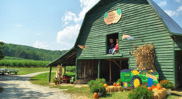 Apple Orchards, Hendersonville