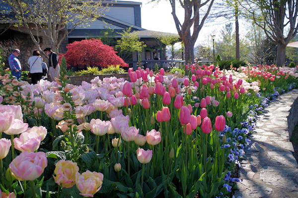 NC Arboretum Spring