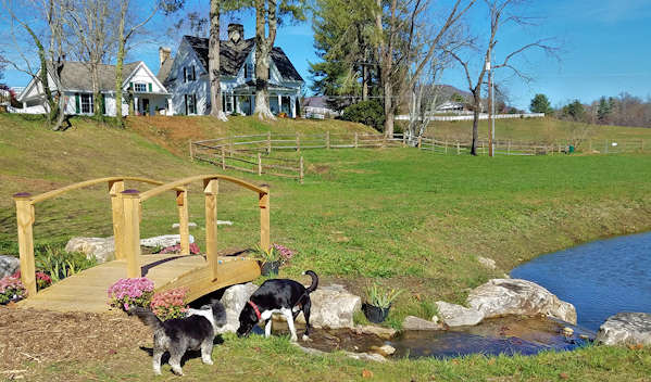 Barkwells Dog Friendly Cabins