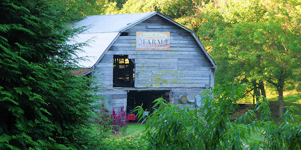 Barn in Luck NC