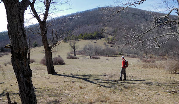 Little Bearwallow Mountain