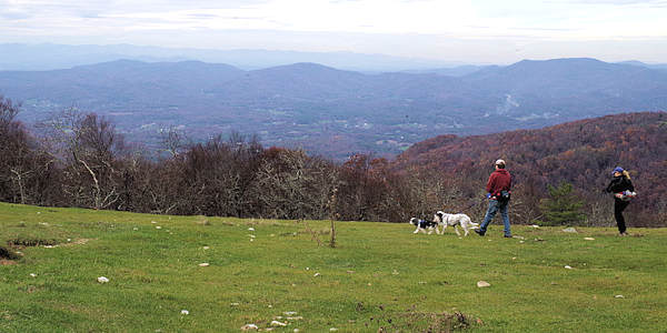 Bearwallow Mountain NC