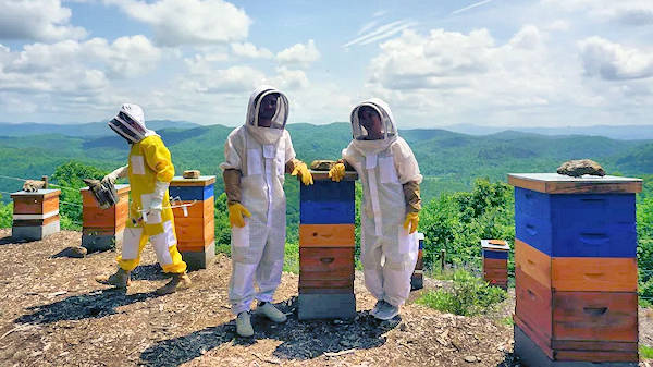 Bee Farm Tour, Lake Toxaway