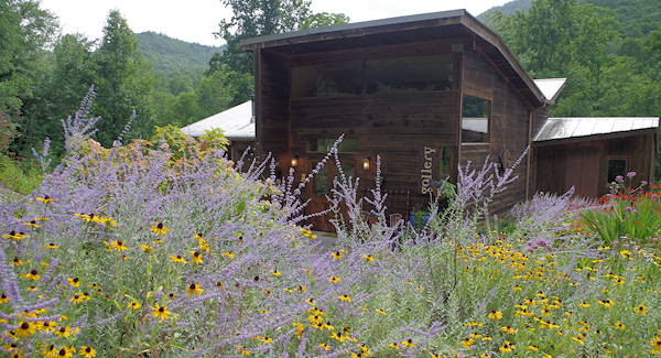 Graham County Bee Global Gallery