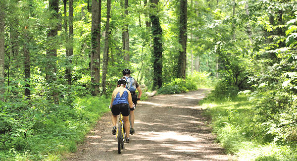 Bent Creek Mountain Biking