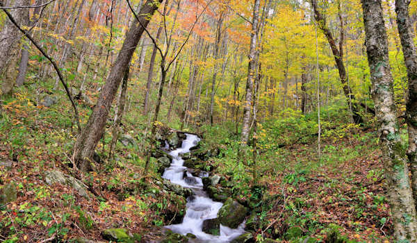 Big Ivy Cascade