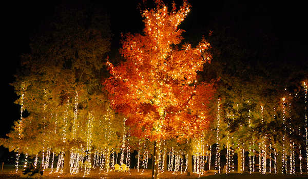 Antler Hill Village, Asheville