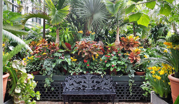 Biltmore Conservatory