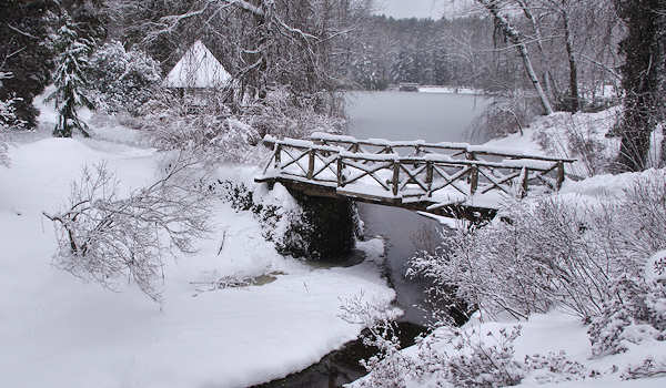 Biltmore Estate Snow