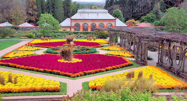 Biltmore Fall Color