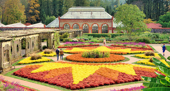 Biltmore Fall Gardens