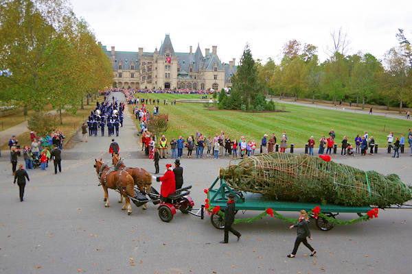 Biltmore House Christmas Tree Arrival
