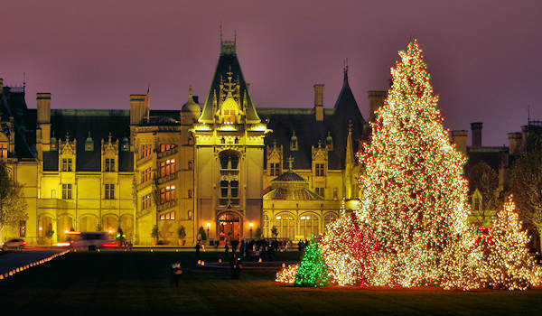 Biltmore House Christmas Tree