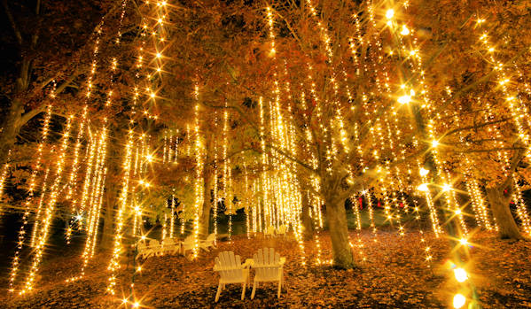 Lights at Antler Hill Village Biltmore Estate