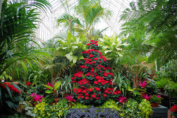 Conservatory at Biltmore Gardens