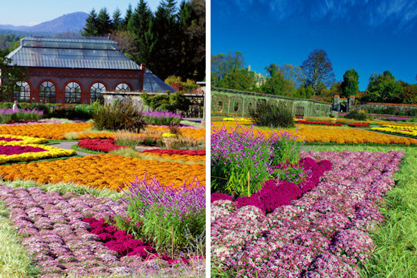 Biltmore Estate Fall Gardens