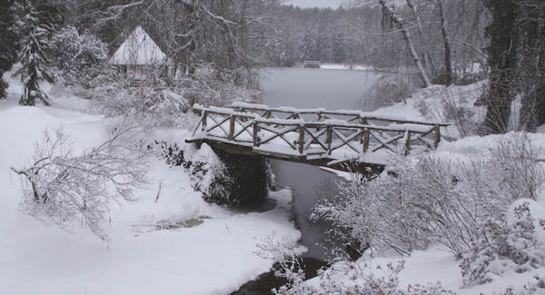Biltmore Snow