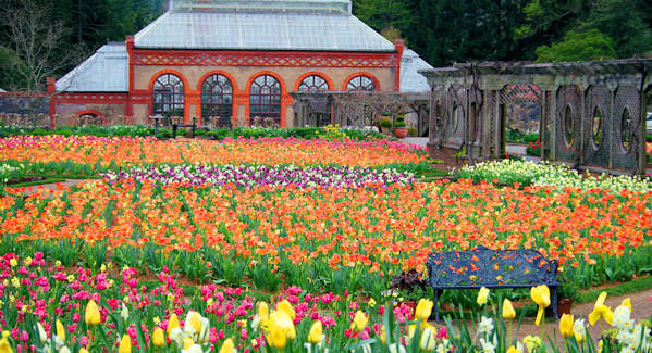 Biltmore walled Garden