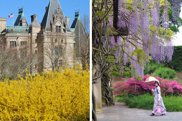 Biltmore Spring Flowers
