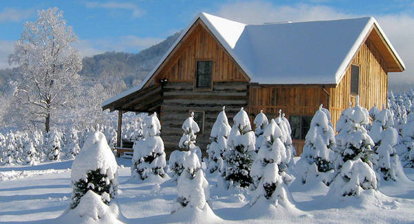 Cabin Rental near Asheville