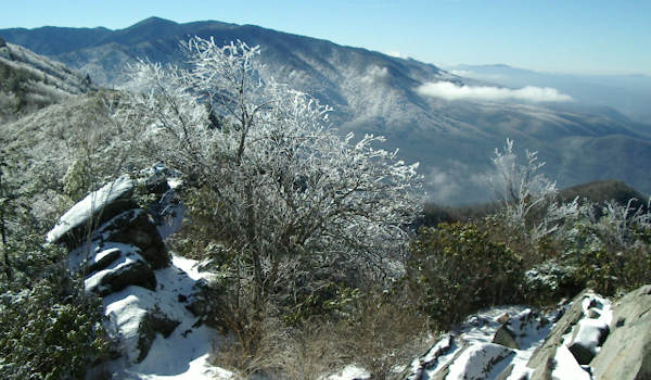 Mt Cammerer