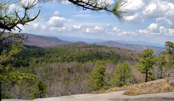 Cedar Rock, DuPont Forest
