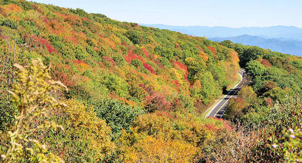 Cherohala Skyway Fall Color