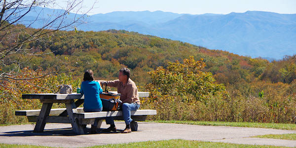 Cherohala Skyway Picnic