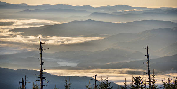 Clingmans Dome View