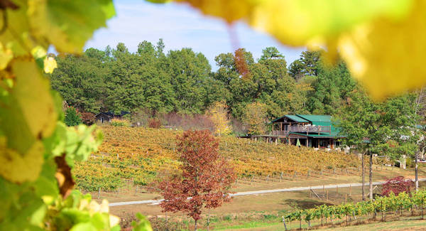 Winery near Columbus, NC