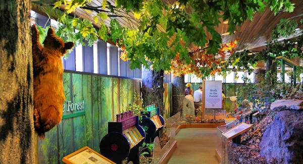 Cradle of Forestry