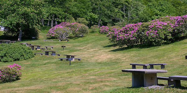 Craggy Garden Picnic Area