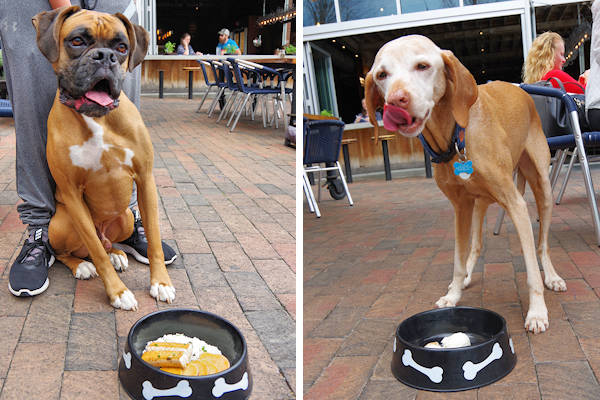 Asheville Restaurant Dog Menu