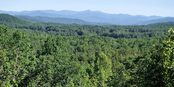 DuPont State Forest Mountain View NC
