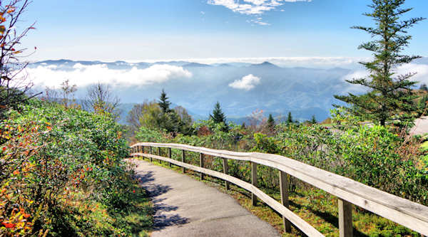Waterrock Knob Hiking Trail