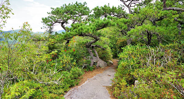 Flat Rock Trail