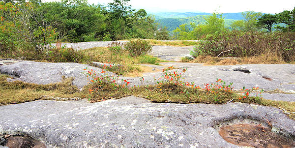 Flat Rock Trail Bathtubs