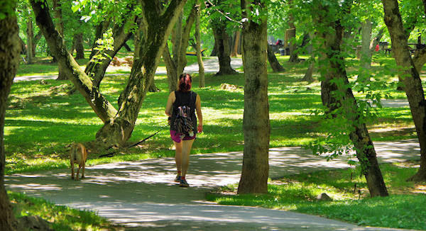 French Broad River Park, Asheville