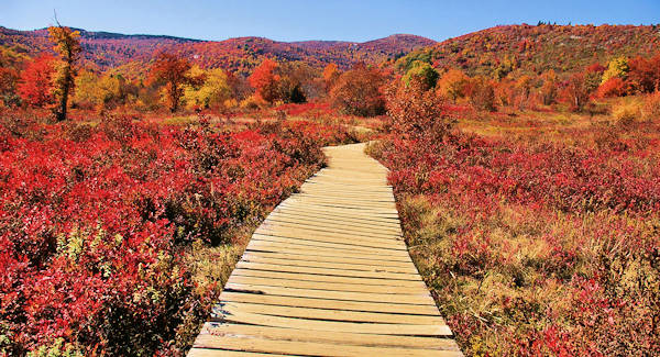 Graveyard Fields, Blue Ridge Parkway