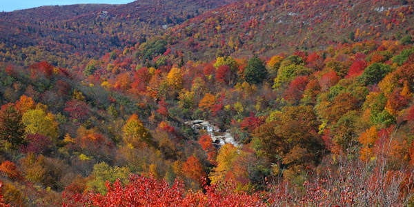 Graveyard Fields Fall Color
