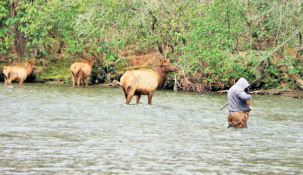 Fishing in Great Smoky Mountains Park, North Carolina