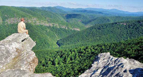 Hawksbill Mountain NC View