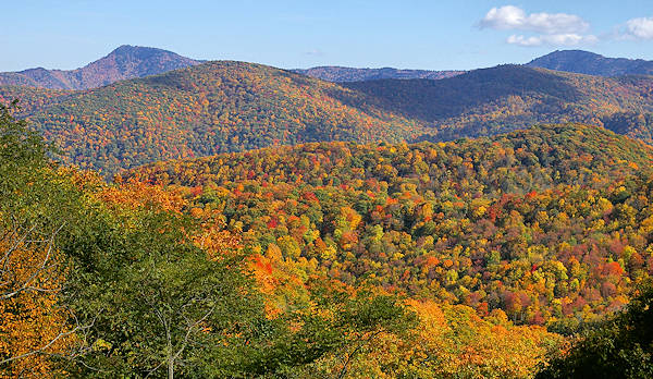Heintooga Road, Great Smoky Mountains