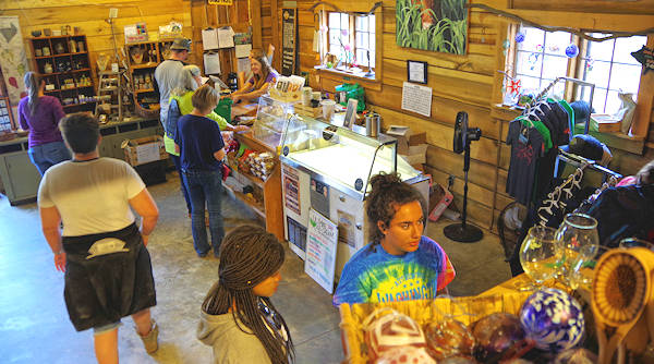 Hickory Nut Gap Farm Store