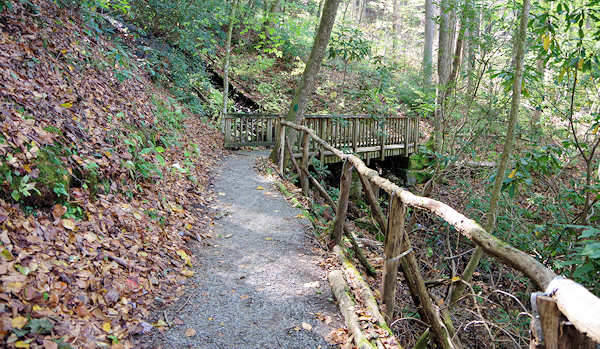 Holmes Educational State Forest, NC